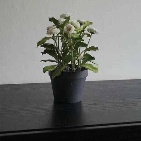 Kongebrogade 77 Apartamento *