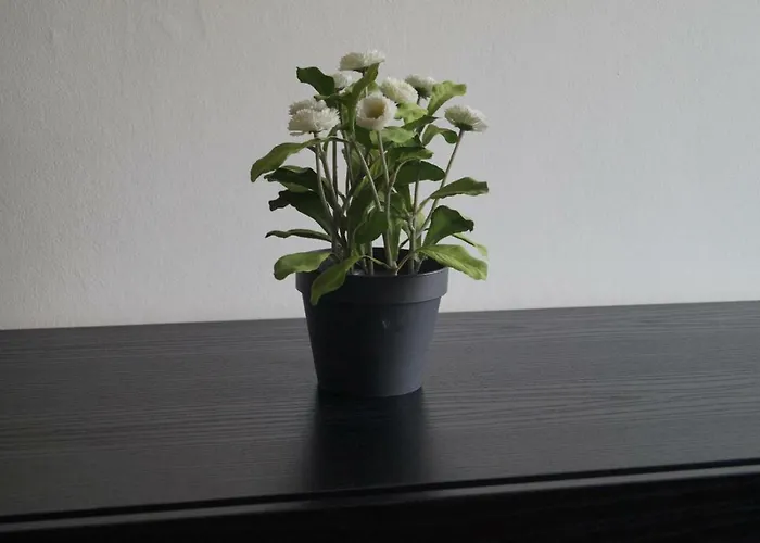 Kongebrogade 77 Apartamento *